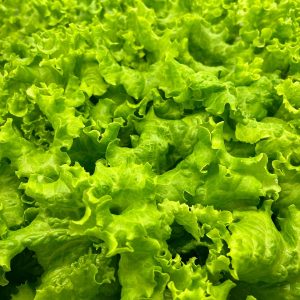 Leafy Greens